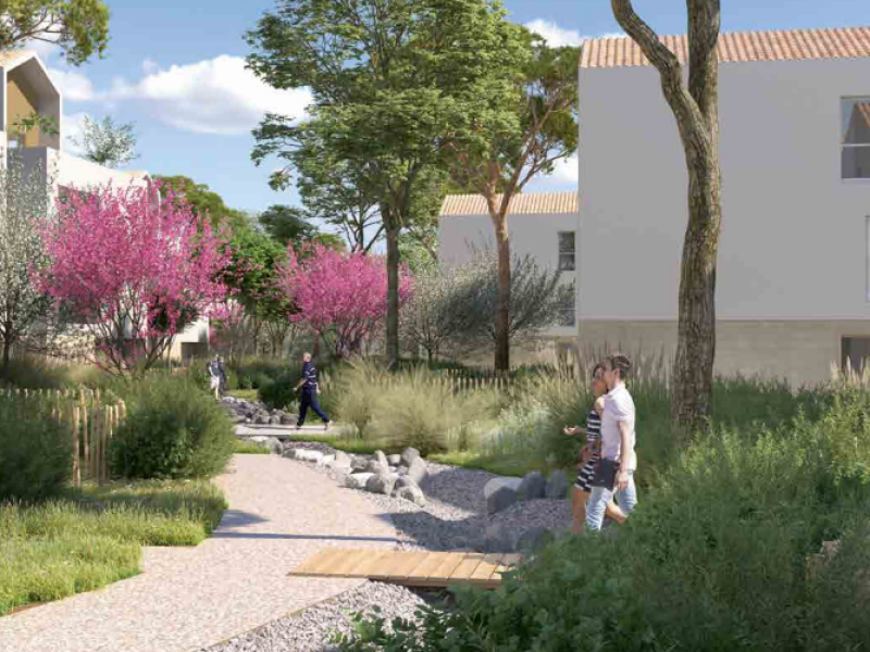 Capture d’écran 2026-02-27 175846