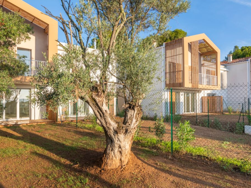 Capture d’écran 2026-03-02 144720