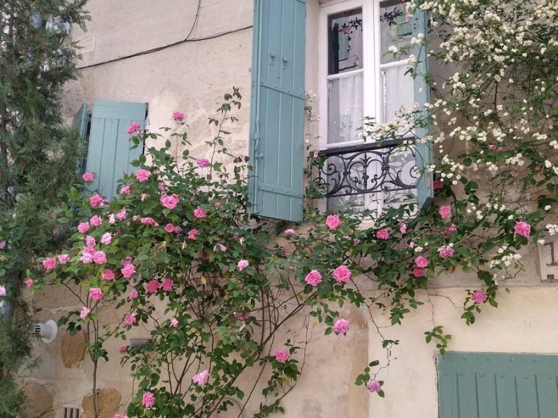 a house with green shutters and pink flowers on the windows